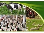 توانمندسازی دامداران در کاهش ریسک و مدیریت خطرپذیری انواع بیماری ها با بیمه 