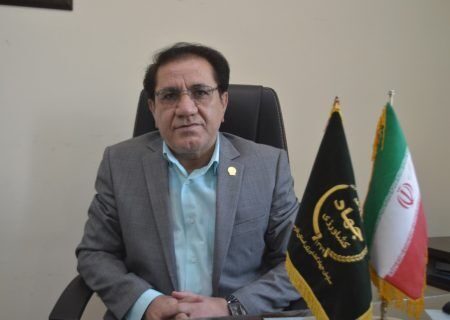 آغاز برداشت گندم از مزارع استان فارس