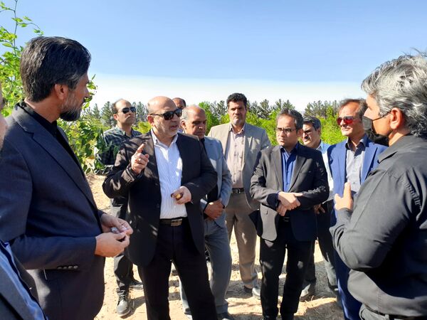 بازدید معاون وزیر از ایستگاه تحقیقات کشاورزی محمدیه