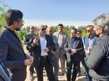 بازدید معاون وزیر از ایستگاه تحقیقات کشاورزی محمدیه