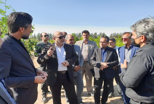 بازدید معاون وزیر از ایستگاه تحقیقات کشاورزی محمدیه