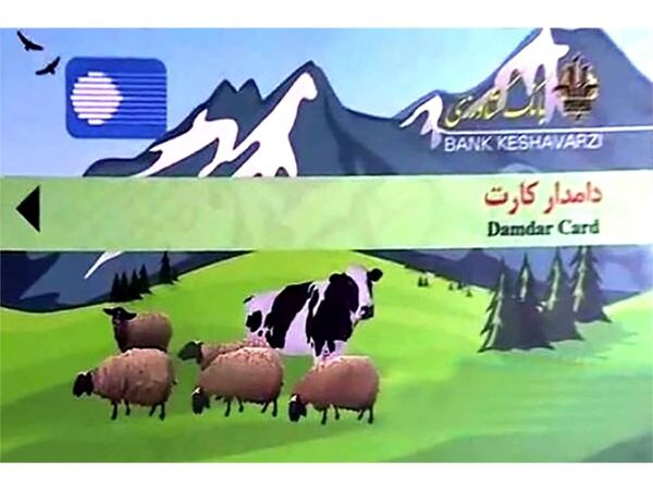 ۲۳۰ دامدار ارومیه برای دریافت تسهیلات یارانه دار معرفی شدند