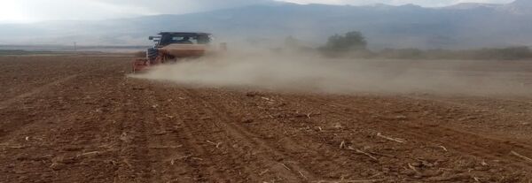 آغاز کشت محصولات شتوی در استهبان