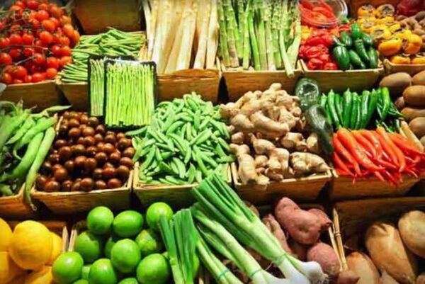 صدور بیش از 9 هزار گواهی بهداشت قرنطینه گیاهی در آذربایجان غربی