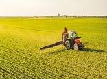 اجرای طرح جهش تولید استان اصفهان در سطح 20 هزار هکتار 