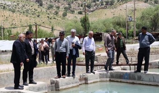 خاویار در زاگرس جان می‌گیرد