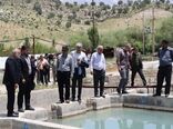 خاویار در زاگرس جان می‌گیرد