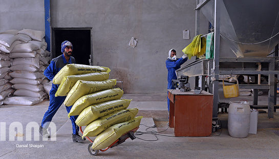 شهرک صنعتی ایلام