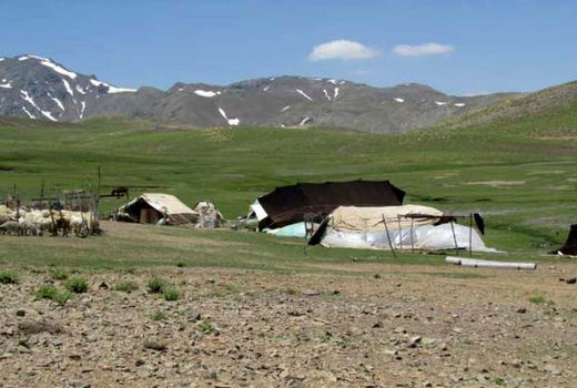 تولید ۵۸۰۰ تن انواع محصولات دامی توسط عشایر استان قزوین