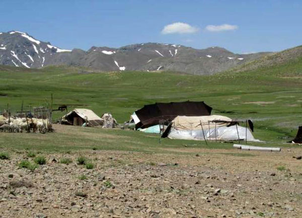 تولید ۵۸۰۰ تن انواع محصولات دامی توسط عشایر استان قزوین