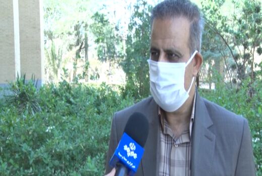 هجوم ملخ‌ها به شمال استان بوشهر