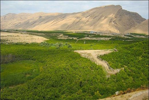 وصول ۶۲ هزار و ۴۲۵ میلیون ریال از فروش اراضی فعال استان بوشهر در یک سال اخیر