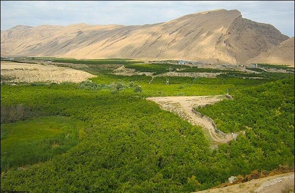 وصول ۶۲ هزار و ۴۲۵ میلیون ریال از فروش اراضی فعال استان بوشهر در یک سال اخیر