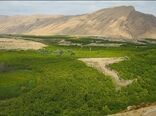 شناسایی بیش از ۲ هزار مورد تغییر کاربری غیرمجاز در اراضی کشاورزی قزوین