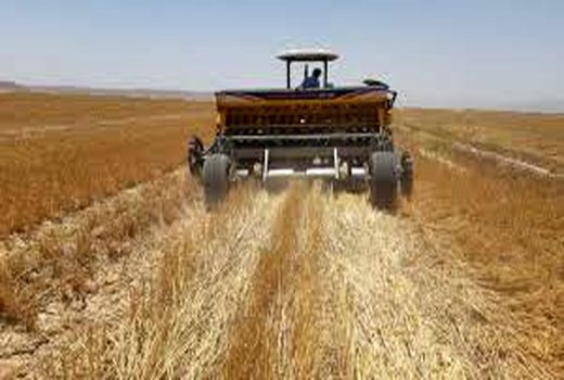 حفظ بقایای گیاهی  در مزارع  خرمشهر