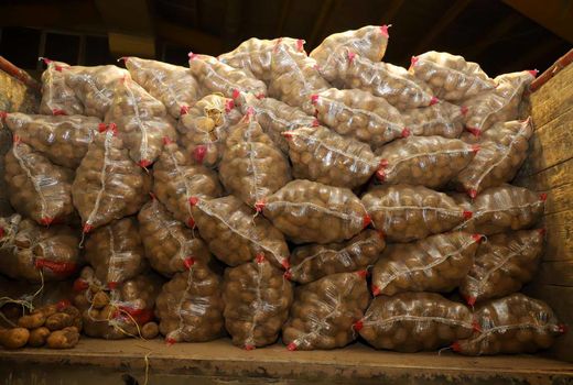 اولین محموله سیب‌زمینی وارد کشور شد

