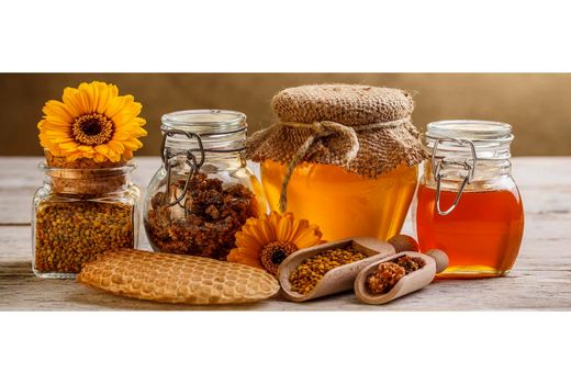افزایش 11 درصدی تولید عسل در گلوگاه/ تولید 58 هزار کیلو عسل