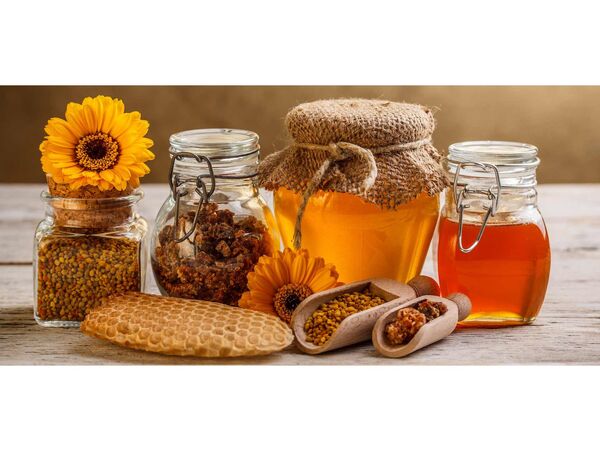 افزایش 11 درصدی تولید عسل در گلوگاه/ تولید 58 هزار کیلو عسل