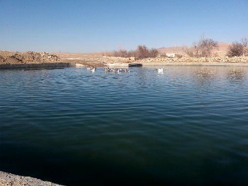 تجهیز461 هکتار از اراضی کشاورزی شهرستان به سیستم های نوین آبیاری