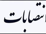 سرپرست معاونت بهبود تولیدات گیاهی سازمان کشاورزی استان منصوب شد