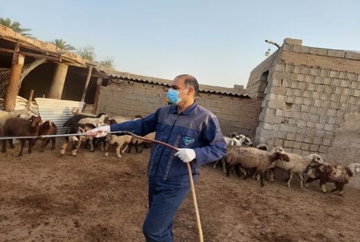 سمپاشی رایگان بیش از 40 هزار متر مربع جایگاه نگهداری دام روستایی 