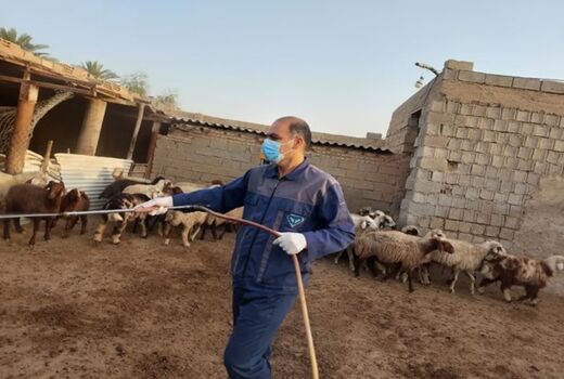 سمپاشی رایگان بیش از 40 هزار متر مربع جایگاه نگهداری دام روستایی 