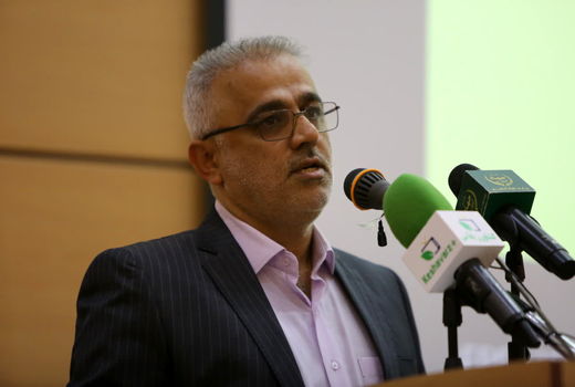 کاشت نهال یک ضرورت جهانی است/ ۱۰۰ درصد مجوزهای منابع طبیعی‌ سیستمی می‌شود 