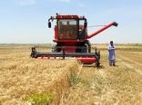 برداشت مکانیزه گندم از سطح ۴۶ هزار هکتار زمین‌های کشاورزی سیستان