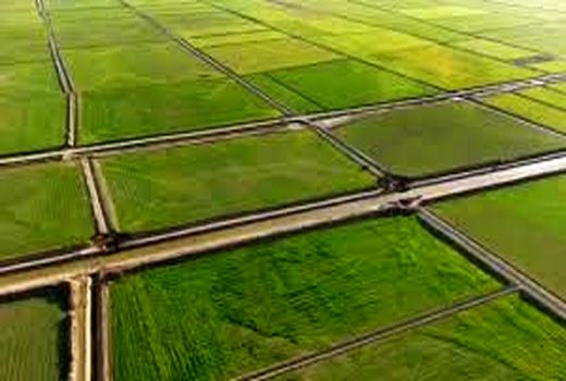  رفع تداخل بیش از 20 هزار هکتار اراضی در کمیسیون رفع تداخلات خوزستان