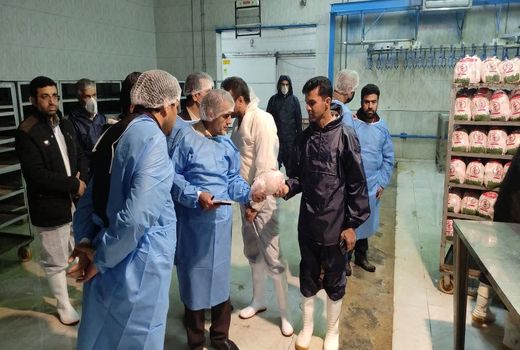 اعزام بازرس ویژه سرپرست وزارت جهاد کشاورزی به چهارمحال و بختیاری 