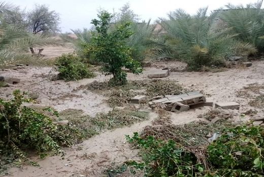 خسارت میلیاردی سیل به بخش کشاورزی کازرون