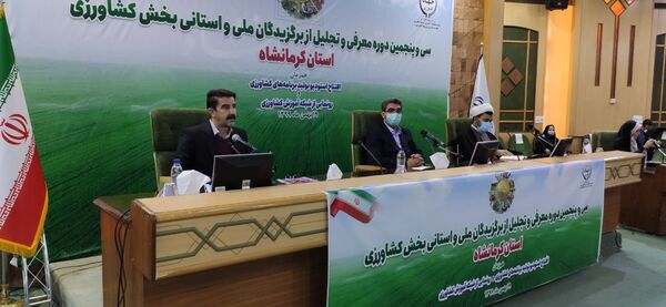 انتخاب نمونه‌های کشاورزی به افزایش ضریب دانش کشاورزی در مزارع کمک می‌کند
