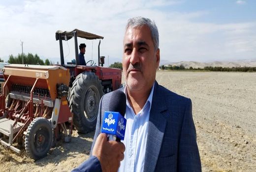 تمامی مطالبات گندمکاران آذربایجان‌غربی پرداخت شد
