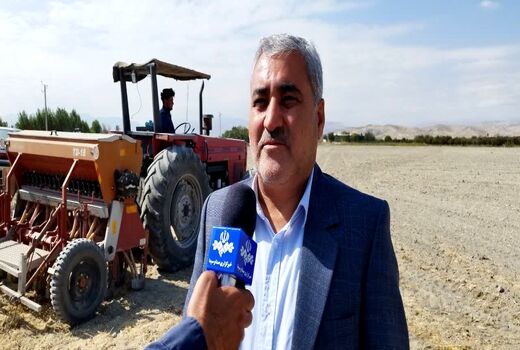 تمامی مطالبات گندمکاران آذربایجان‌غربی پرداخت شد