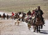  خودکفایی در گوشت قرمز با تامین انرژی پاک و آب پایدار برای عشایر