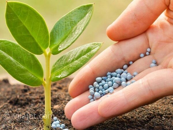 توزیع بیش از 5 هزارتن کود شیمیایی در آباده