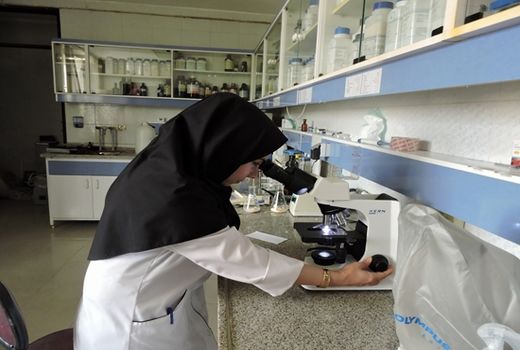 طرح ارتقاء سلامت شیر خام در واحد تولیدی و مراکز عرضه شیر خام