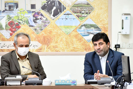 جلسه بررسی عملکرد و چالش های پیشروی بخش کشاورزی استان برگزار شد