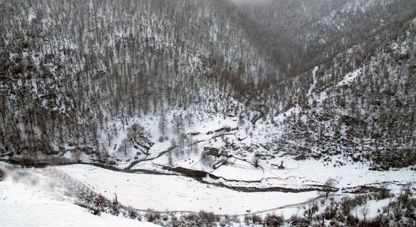 بارش‌ها تا پایان سال بیشتر برفی است / افزایش شفافیت در رصد توزیع کود و سوخت