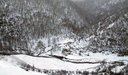 بارش‌ها تا پایان سال بیشتر برفی است / افزایش شفافیت در رصد توزیع کود و سوخت