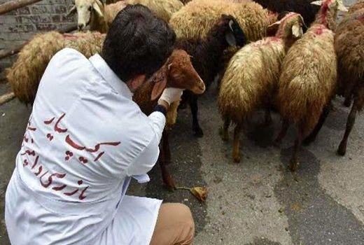  تشدید نظارت بهداشتی و شرعی ویژه عید سعید قربان

