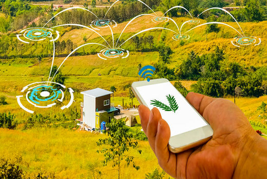 افتتاح شهرک‌های استارت‌آپی بخش کشاورزی تا پایان سال جاری 