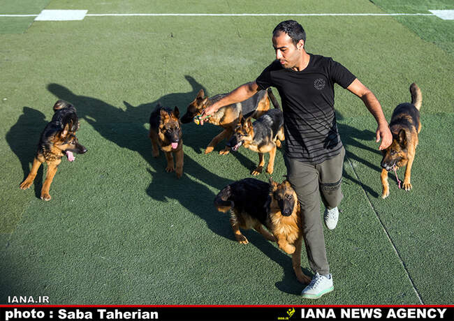 Saba Taherian 9