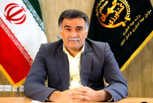 برداشت بذر پیاز مرغوب برای نخستین بار از مزارع خراسان جنوبی