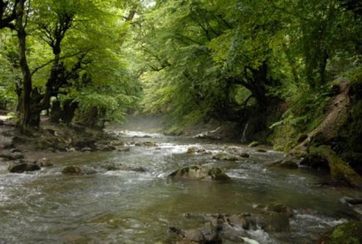 احتمال وقوع سیل در برخی مناطق کوهستانی شمال