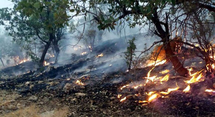 با مدیریت میدانی و مشارکت مردم آتش درازنوی کنترل شد