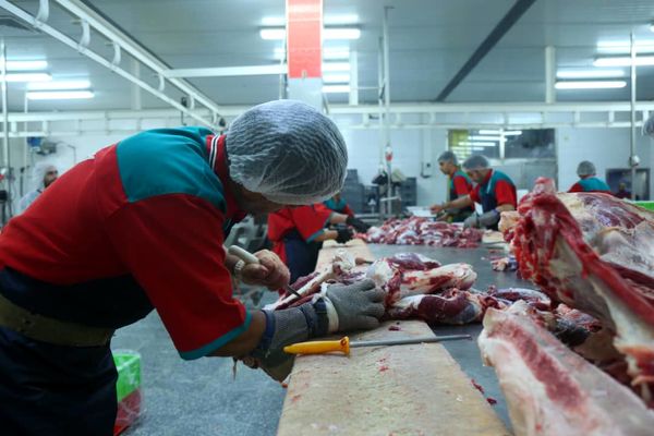 بی‌‌ضابطگی قصابی ها مراکز بسته‌بندی را تحت فشار قرار داده است/ راه‌اندازی سامانه فروش مستقیم گوشت با قیمت مصوب

