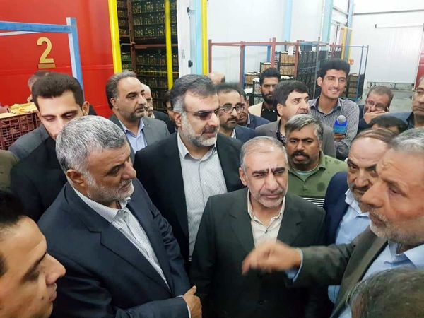 وزیر جهاد کشاورزی از یک واحد سردخانه در شهرستان سپیدان بازدید کرد