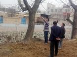 باغداران شهرستان قزوین با اصول نوین باغداری آشنا شدند