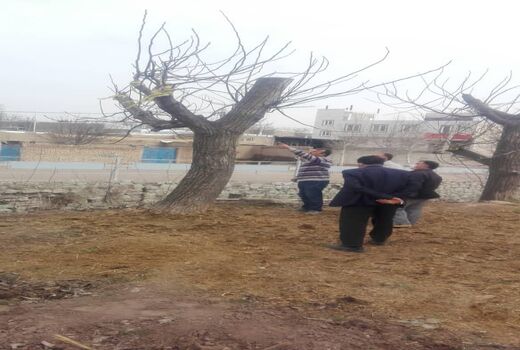 باغداران شهرستان قزوین با اصول نوین باغداری آشنا شدند